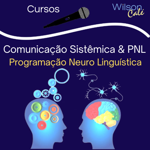 Comunicação Sistêmica e PNL